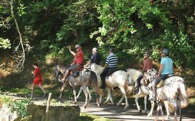 Les Chalets Du Moulin Du Chatain 4